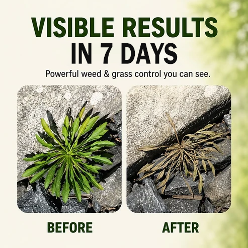 2026 SALE - Fast-Acting Natural Weed & Grass Killer Spray