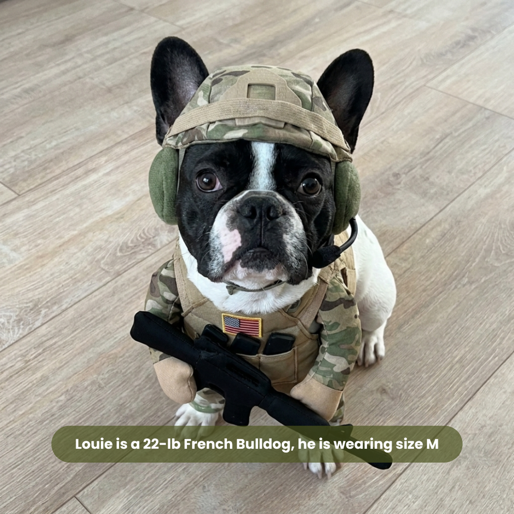 🔥 50% OFF🪖Pet Tactical Soldier Uniform – Military Style Dog Costume