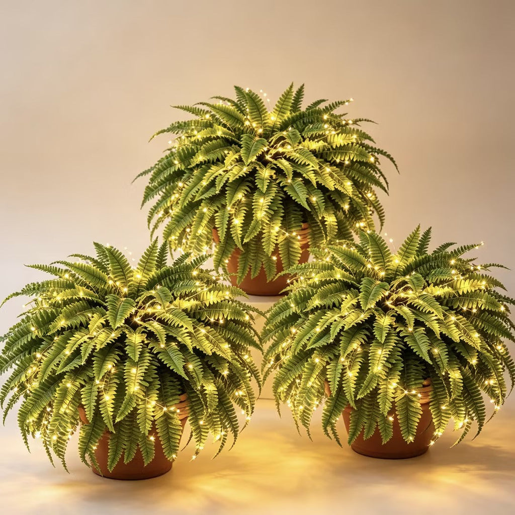 💛Glowing Boston Ferns with Lights – 🌿 Zero Watering, Zero Maintenance🌿