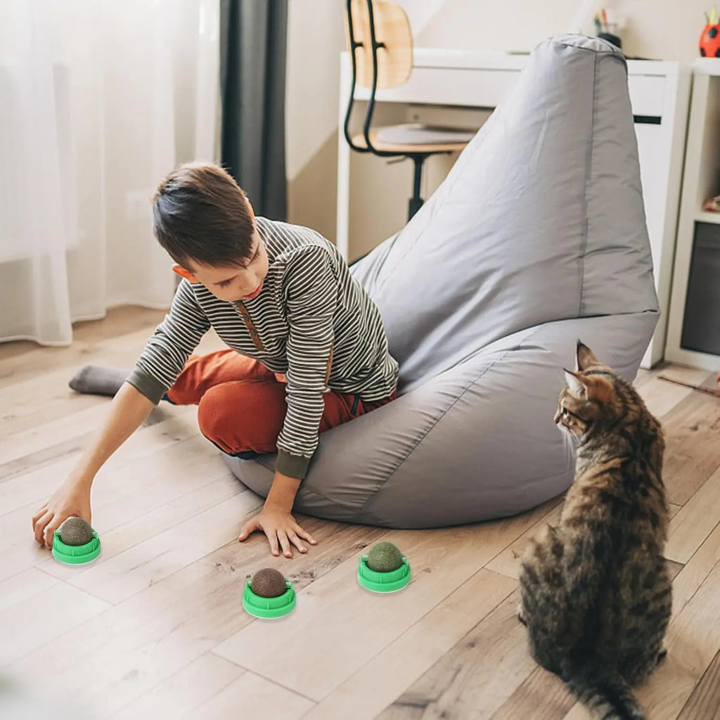 Catnip Toys Balls 4 Pcs, Extra Cat Energy Ball, Edible Kitten Silvervine Toys, Healthy Kitty Teeth Cleaning Dental Chew Toys, Cat Wall Treats Cat Stuf