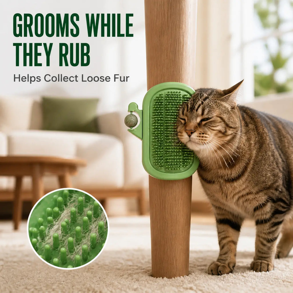 🐱🐱3-in-1 Soft Plastic Cat Corner Groomer with Catnip - Grooming Supplies