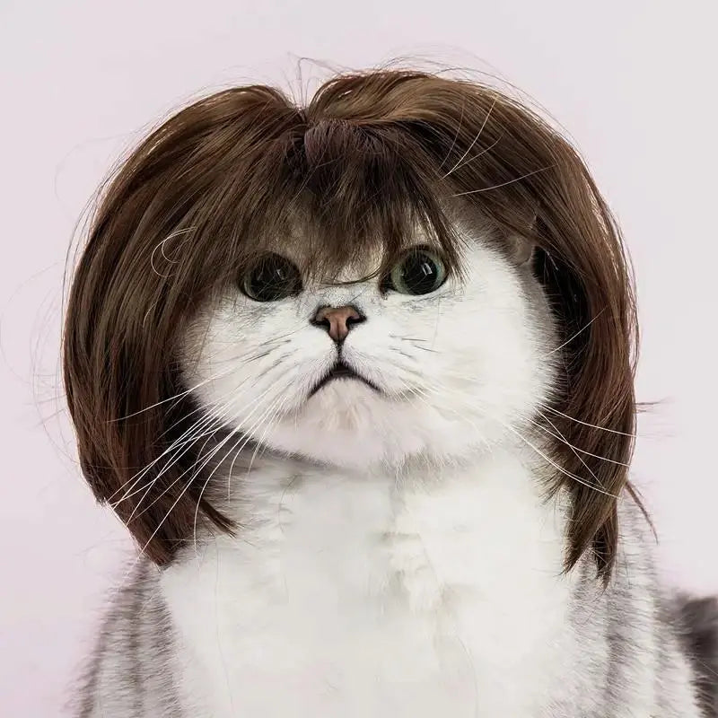 🐶🐱 Funny Pet Costume Wig Headband, for Small Dogs & Cats, Perfect Holiday Photo Props Pet Gift