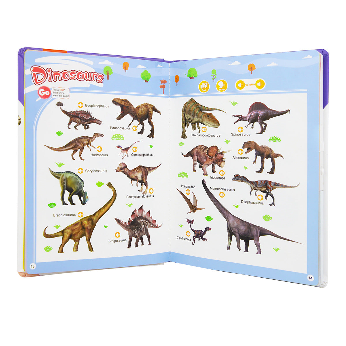 English Sound Book for Children Aged 1–6 — Interactive Educational Toy Featuring Over 300 Words and 13 Themes