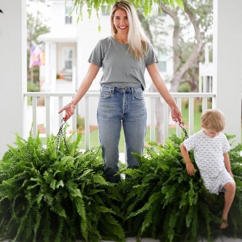 💛Glowing Boston Ferns with Lights – 🌿 Zero Watering, Zero Maintenance🌿